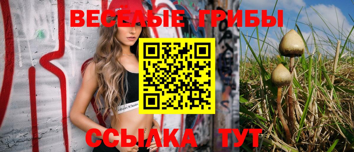 Галлюциногенные грибы мухоморы  Псилоцибиновые грибы ЛСД  Сосновоборск  Вход с VPN 